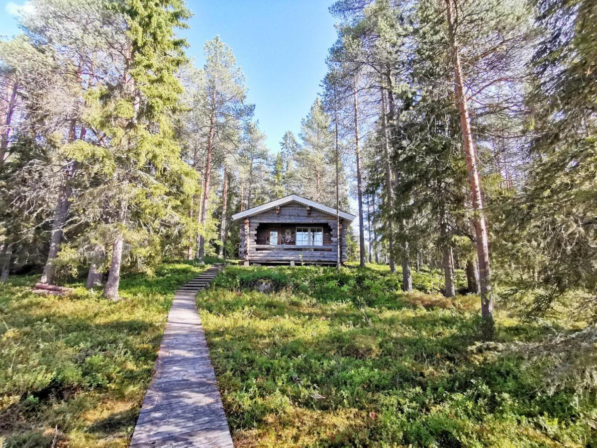 Taigaschool Eco Hotel Virrankyla Eksteriør bilde