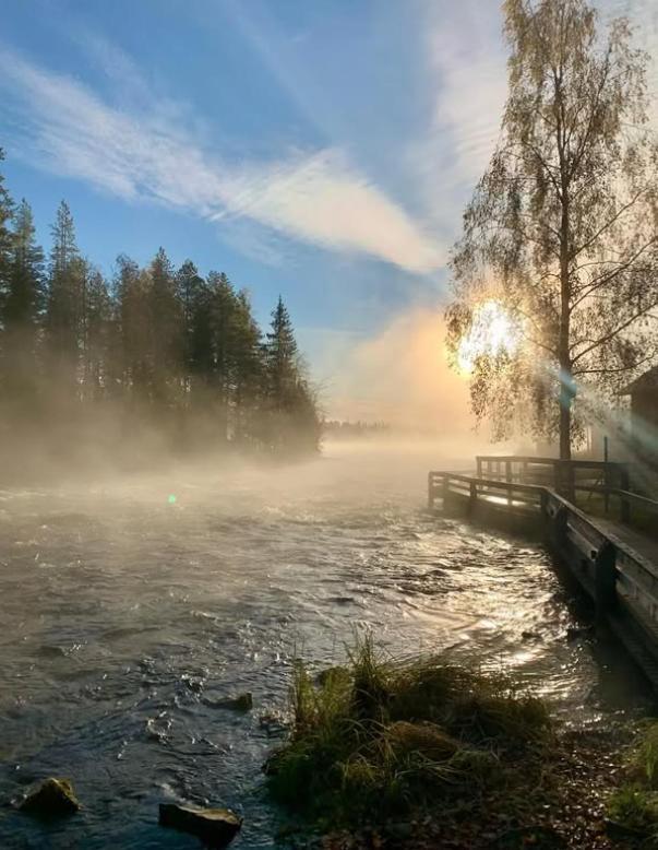 Taigaschool Eco Hotel Virrankyla Eksteriør bilde